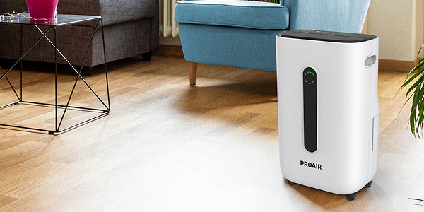 Одвлажнувач на воздух DH25